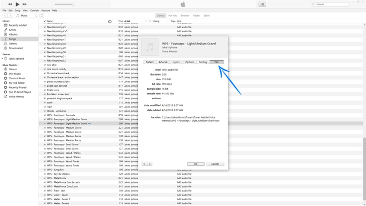 Accessing the File tab for the selected audio file.